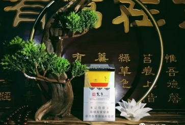 正品五叶神香烟好抽吗_最好的五叶神香烟多少钱一包|低价香烟网